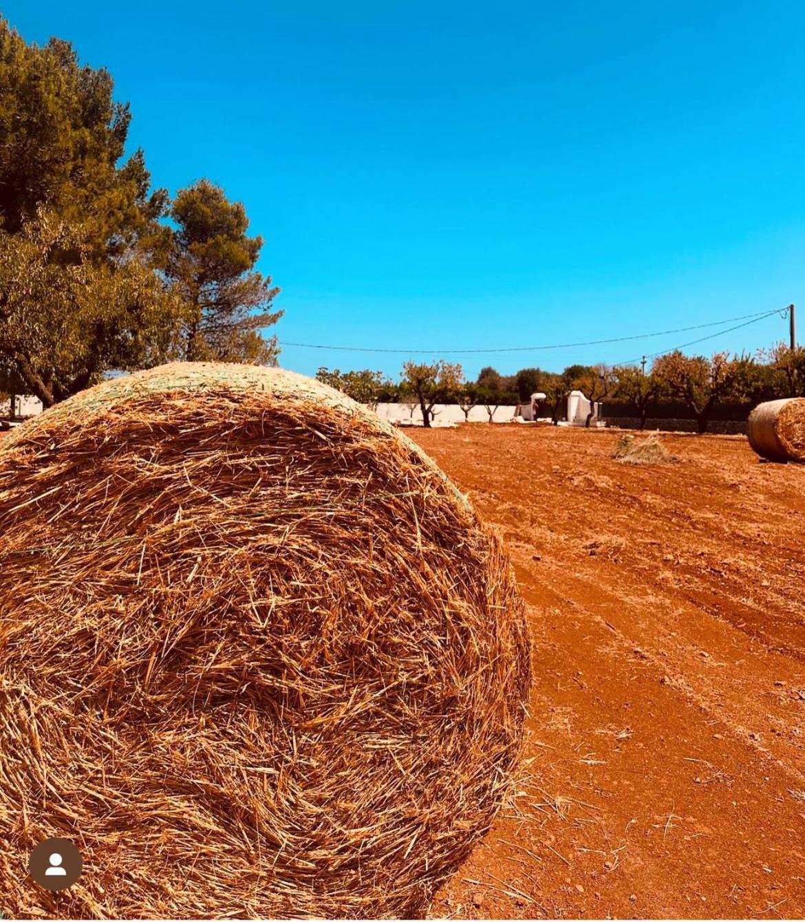 Ca Summa Agriresort オストゥーニ エクステリア 写真